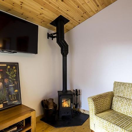 Fern Lodge - 2 Bedroom Log Cabin - Saint Florence - Tenby المظهر الخارجي الصورة